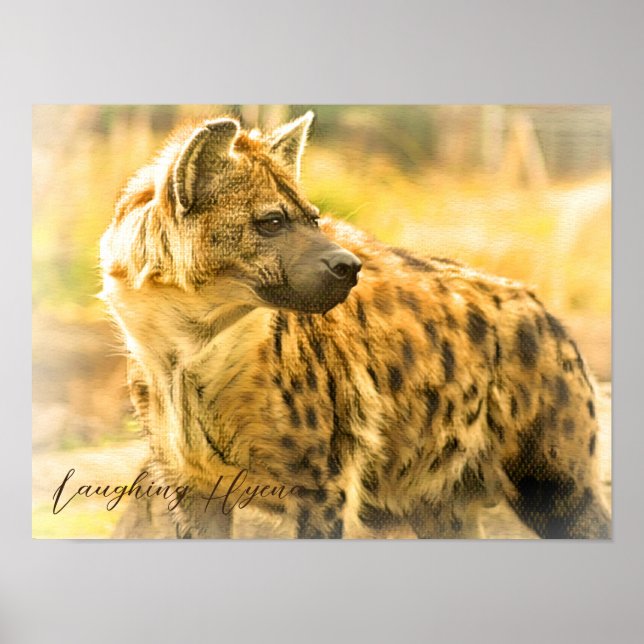 Póster Laughing Hyena ポ ス タ (Frente)