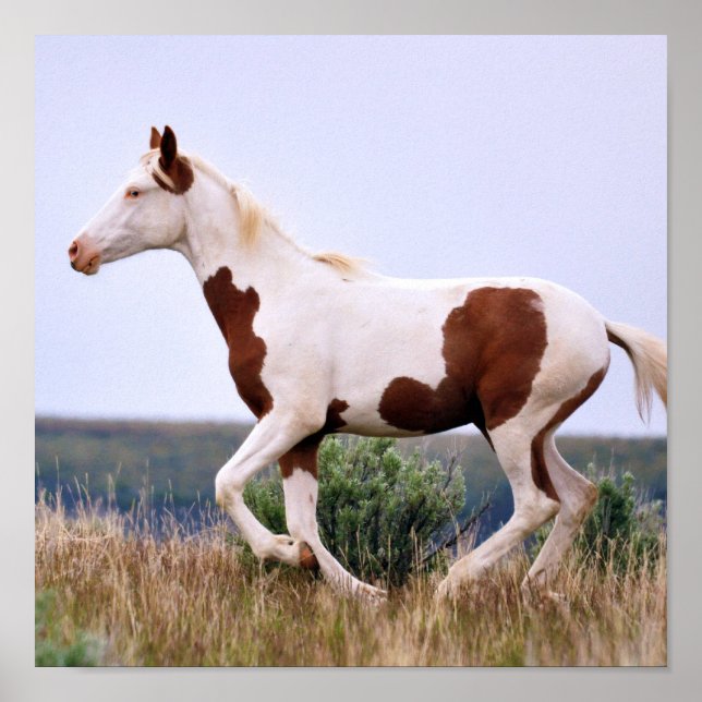 Póster Laughing Maiden (Frente)