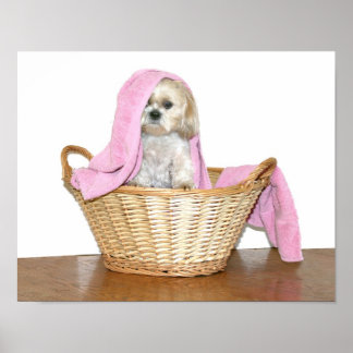 Póster Laundry helper