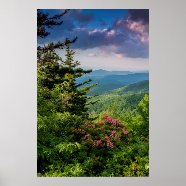 Póster Laurel de Montaña al Amanecer (Frente)