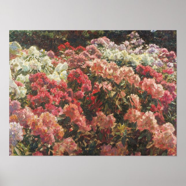 Póster Laurits Tuxen - Rhododendron en el jardín de Tuxen (Frente)