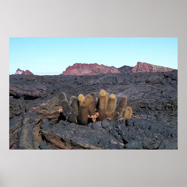 Póster Lava Cacti (Frente)