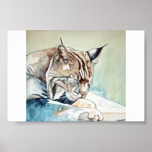 Póster Lavado de cena AFter - Bobcat (Frente)