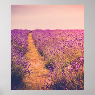 Póster Lavanda