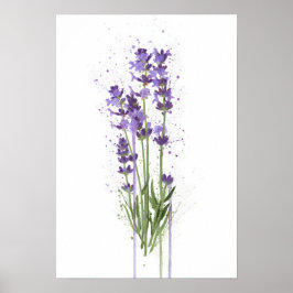 Póster Lavanda