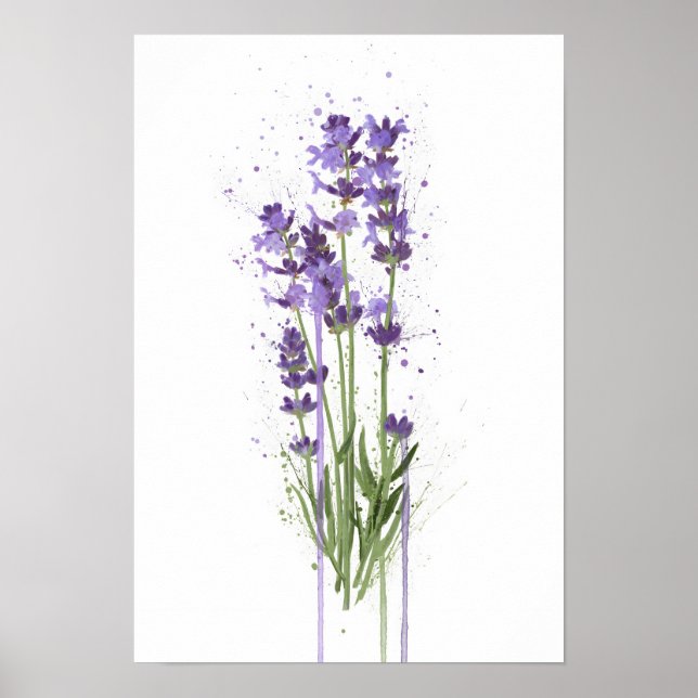 Póster Lavanda (Frente)