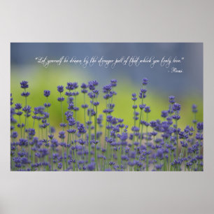 Póster Lavanda con cita