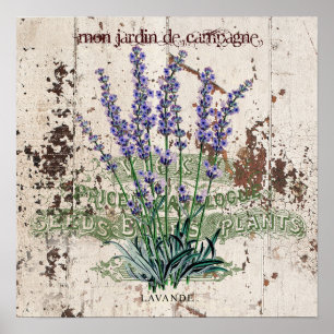 Póster Lavanda en panel de madera rústica