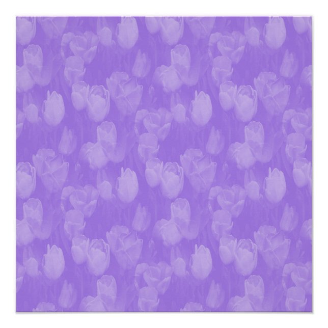 Póster Lavanda enamorada...... (Anverso)
