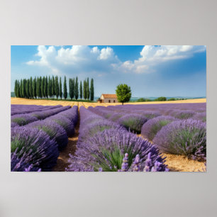 Póster Lavanda Naturaleza Exterior Paisaje Tranquilo Pací