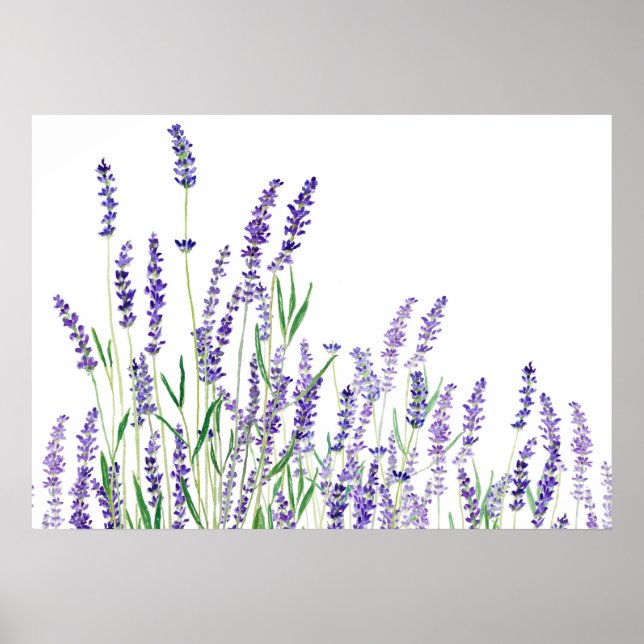Póster lavanda púrpura acuarela horizontal (Frente)