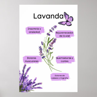 Póster Lavanda y sus beneficios