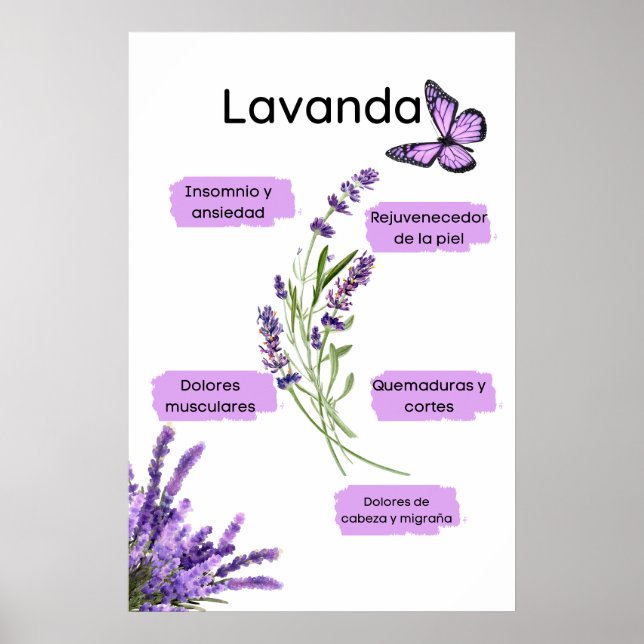 Póster Lavanda y sus beneficios (Frente)