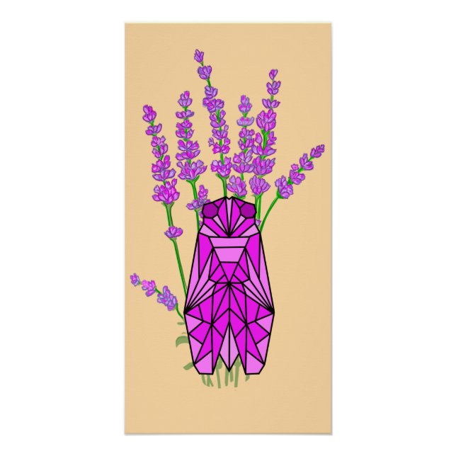 Póster Lavande et cigale en Provence (Anverso)