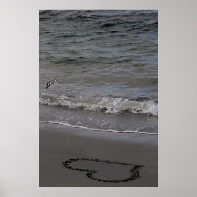 Póster Lavandera en amor (Frente)