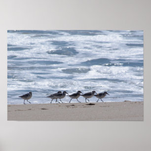 Póster Lavanderas en la playa