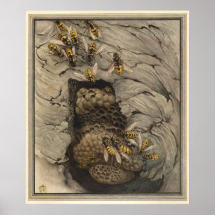 Póster LAVAS COMUNES - Ilustracion de libros de insectos