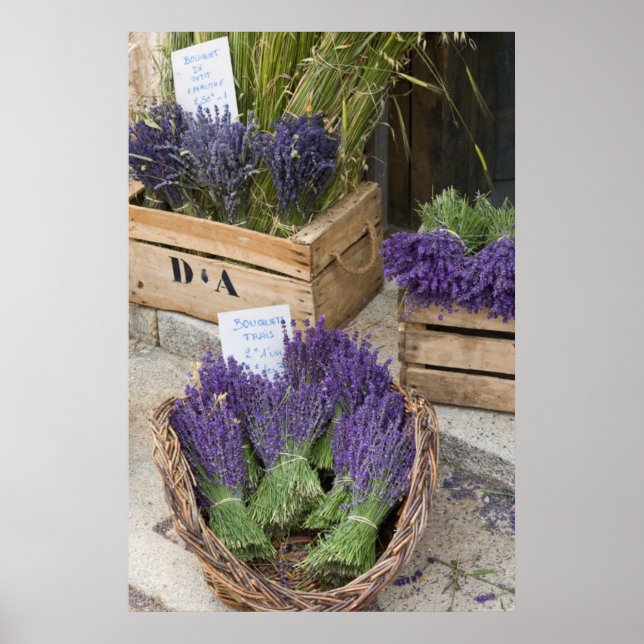 Póster Lavendar en venta, Provenza, Francia (Frente)