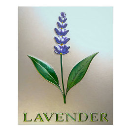Póster Lavendel Blume in glänzender Eleganz
