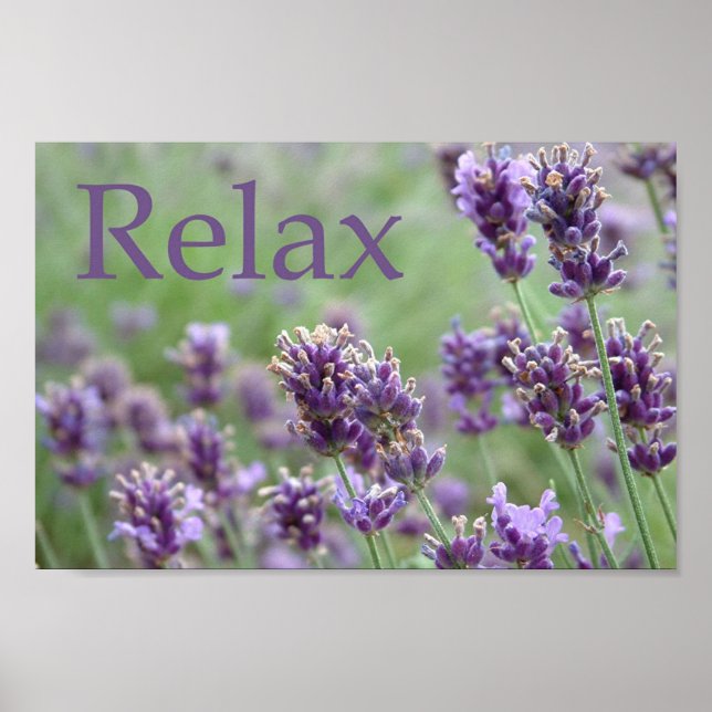 Póster Lavender (Frente)