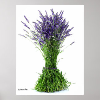 Póster Lavender bouquet