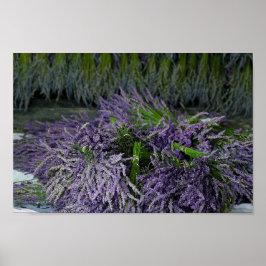 Póster Lavender Bundles