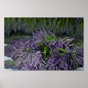 Póster Lavender Bundles