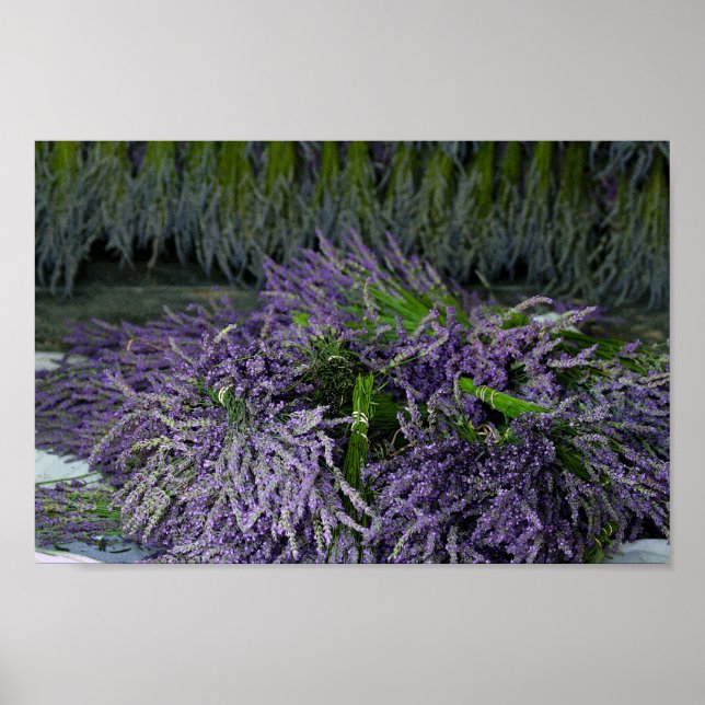 Póster Lavender Bundles (Frente)