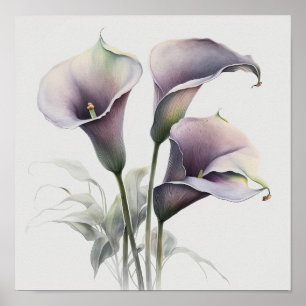 Póster Lavender Calla Lilies Lily Flor Art Print Poster