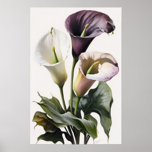 Póster Lavender Calla Lilies Lily Flor Art Print Poster