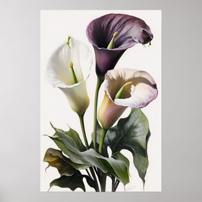 Póster Lavender Calla Lilies Lily Flor Art Print Poster (Frente)