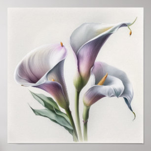 Póster Lavender Calla Lilies Lily Flor Art Print Poster