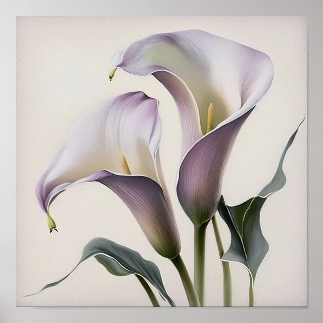 Póster Lavender Calla Lilies Lily Flor Art Print Poster (Frente)