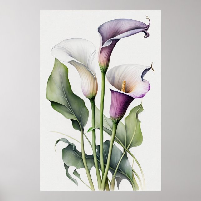 Póster Lavender Calla Lilies Lily Flor Art Print Poster (Frente)