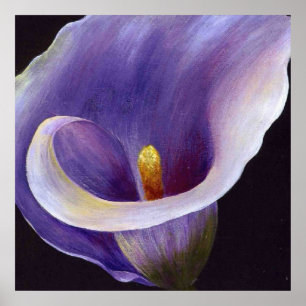 Póster Lavender Calla Lily