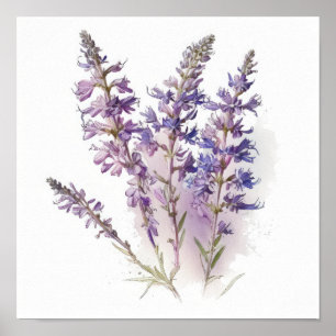 Póster Lavender Larkspur Flower Art Print Poster