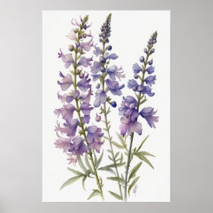 Póster Lavender Larkspur Flower Art Print Poster