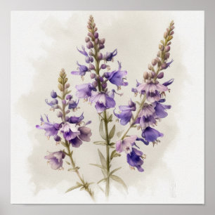 Póster Lavender Larkspur Flower Art Print Poster