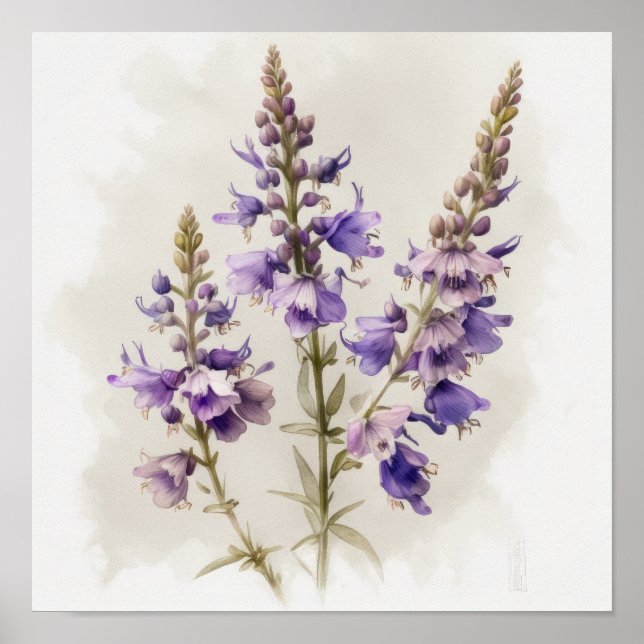 Póster Lavender Larkspur Flower Art Print Poster (Frente)