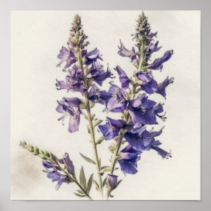 Póster Lavender Larkspur Flower Art Print Poster