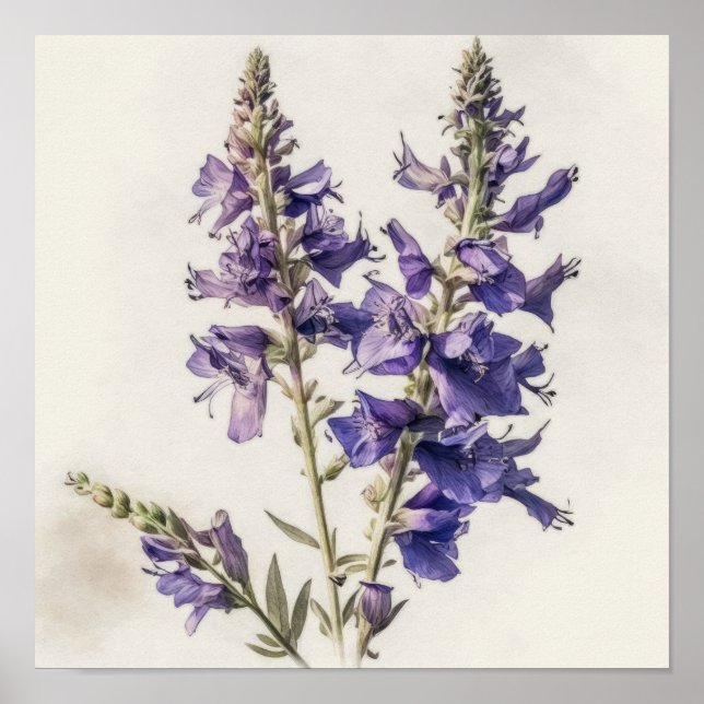 Póster Lavender Larkspur Flower Art Print Poster (Frente)