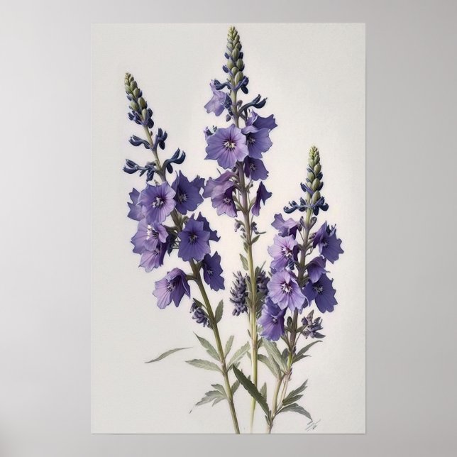 Póster Lavender Larkspur Flower Art Print Poster (Frente)