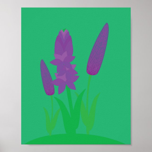 Póster Lavender Plants (Frente)