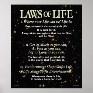 Póster Laws of Life