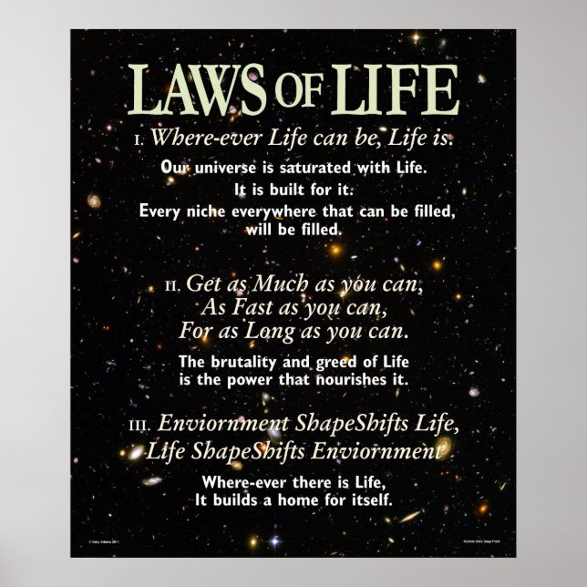 Póster Laws of Life (Frente)