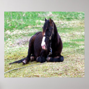 Póster Lazy Days Canvas