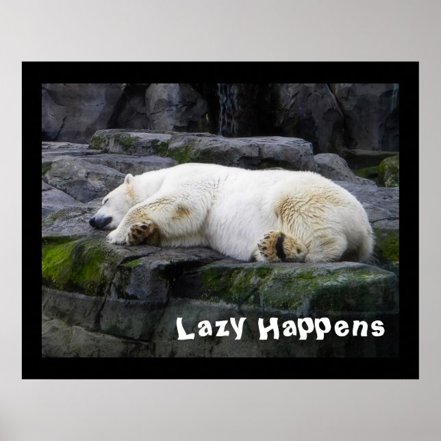 Póster Lazy Happens Polar Bear (Frente)