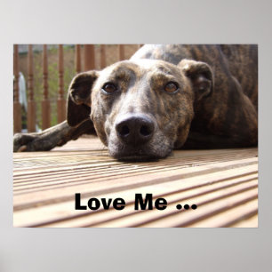 Póster Lazy Lurcher Poster