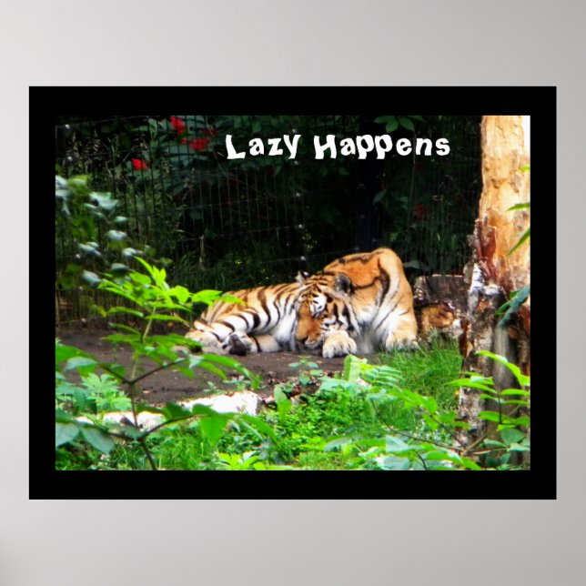 Póster Lazy pasa tigre siberiano (Frente)