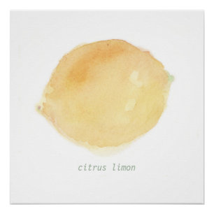 Póster le citron